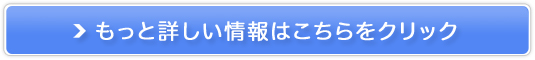 qpXLPAuyV[Yv̔TCg